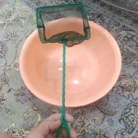 اکواریوبا لوازم سالم|ماهی|خاوران, |دیوار