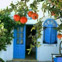 سوئیت دلاوران پیروزی عارفی