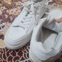 کتونی|کیف، کفش، کمربند|زابل, |دیوار