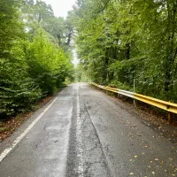 فروش-فوری-زمین-کشاورزی-زیر-قیمت