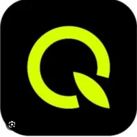 کارگزاری طرح نیلوفر