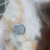 سکه