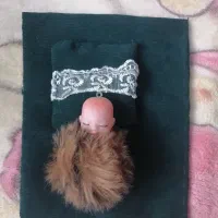 عروسک|اسباب‌‌بازی|مشهد, فاطمیه|دیوار