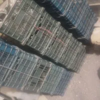 سبد میوه