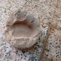 سنگ فسیل باستانی ردپای دایناسور گیاهخوار|حراج|تهران, آذری|دیوار