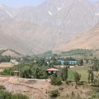 فروش-یا-معاوضه-زمین-باغی