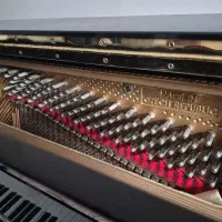 پیانو اکوستیک پتروف|پیانو، کیبورد، آکاردئون|کرج, فاز ۳ گوهردشت|دیوار