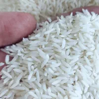 برنج هاشمی درجه یک