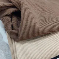 کراپ‌تآستین دار مخصوص پاییز|لباس|قدس, شهر‌قدس|دیوار