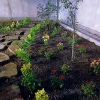 خدمات باغبانی گلکاری کاشت گل تعویض خاک گلدان|خدمات باغبانی و درختکاری|تهران, ازگل|دیوار