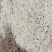 برنج کشت دوم|خوردنی و آشامیدنی|آمل, |دیوار