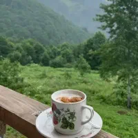 هم پا طبیعت گردی