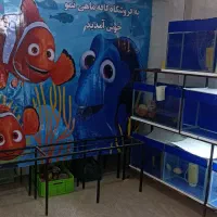 ماهی نمو یزد..آب شیرین|ماهی|یزد, |دیوار