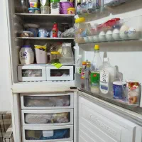 بشتابید|یخچال و فریزر|رشت, دیانتی|دیوار