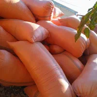 کاه|لوازم جانبی حیوانات|تربت جام, حافظ|دیوار