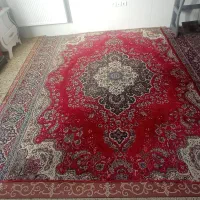 فرش|فرش|قم, نیروگاه|دیوار