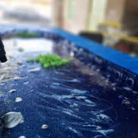 آموزش بامدرک|خدمات آموزشی|بندر ماهشهر, |دیوار