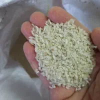 برنج نیم دانه،شکسته لنجان اصفهان