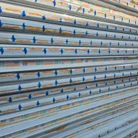 عرضه کننده و نصاب ساندویچ پانل|مصالح و تجهیزات ساختمان|رشت, لاکان|دیوار