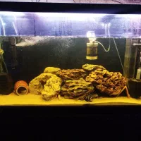 آکواریوم کامل