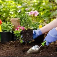 انجام کل امور نظافت،آپارتمان،و باغ بانی|خدمات نظافت|تهران, پونک|دیوار