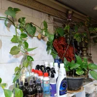 لکه بر مبل+فرش