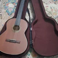 گیتار|گیتار، بیس، امپلیفایر|شهریار, کهنز|دیوار