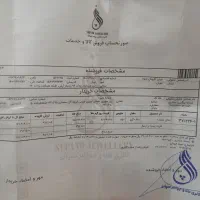 پلاک حلقه ای طلاا|جواهرات|ری, دیلمان|دیوار