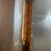 سم پاشی و سمپاشی تضمینی|خدمات نظافت|رشت, کوی جام جم|دیوار