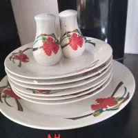 میوه خوری چینی وغذاخوری|ظروف سرو و پذیرایی|خرم‌آباد, |دیوار