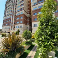 استخدام لابی من