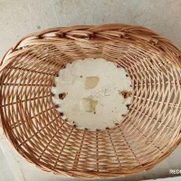 باکس گل و سبد حصیری|گل مصنوعی|قم, باجک دو|دیوار