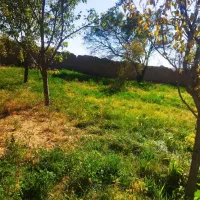 یک کیف پول گمشده