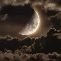 نیروی ساده خانم واقا