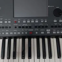 pa600 qt|پیانو، کیبورد، آکاردئون|گلپایگان, |دیوار