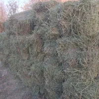 پرس یونجه|عمده‌فروشی|گلپایگان, |دیوار