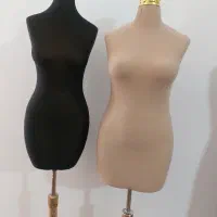 مانکن سوزن خور