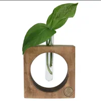 گلدان شیشه ای دیواری با چوب طبیعی
