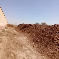 کود گاوی فرآوری شده شرکتی