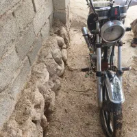 سوزاک|موتورسیکلت|بستک, |دیوار