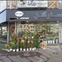 مغازه