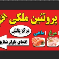 مرغ خردکن قصاب وسط کار
