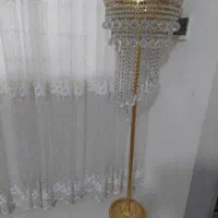 اباژور ایستاده کنار سالنی شیک