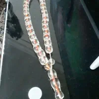 نتسبیح سندلوس اصل شفاف و کلکسیونی