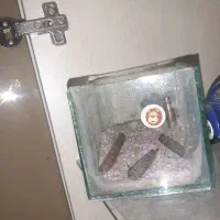 ماهی فایتر|ماهی|کرج, حصارک پایین|دیوار