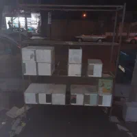 لوازم حیوانات|لوازم جانبی حیوانات|نیشابور, فردوسی جنوبی|دیوار