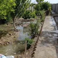 باغچه-500متری