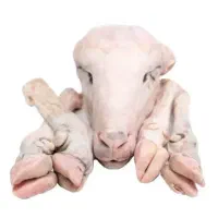 پخش آلایش گوسفندگوساله به قیمت کشتارگاه بسته بندی|خوردنی و آشامیدنی|مشهد, آزادشهر|دیوار