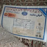 یک تخته فرش ۱۲ متری|فرش|تربت جام, زیباکنار|دیوار