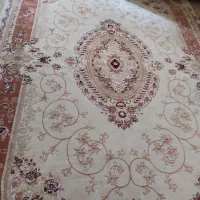 فرش500شانه|فرش|ارومیه, |دیوار
